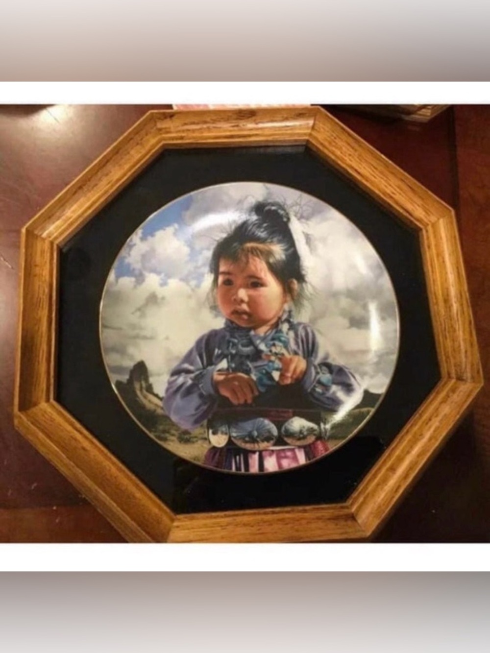 Native American collectors plate & display case